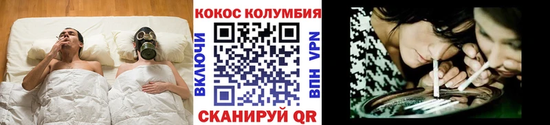 Кокаин Эквадор Злынка