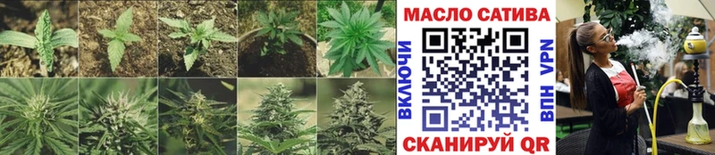 наркотики  Злынка  ТГК THC oil 
