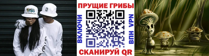 Псилоцибиновые грибы MAGIC MUSHROOMS  Злынка 