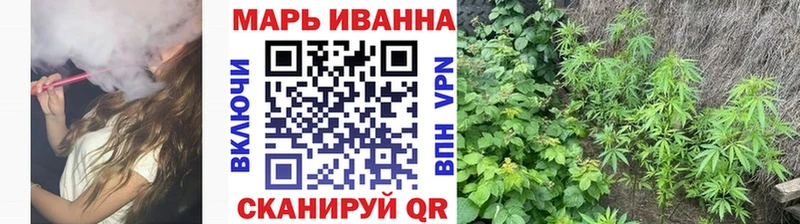 omg ONION  Злынка  Конопля OG Kush 